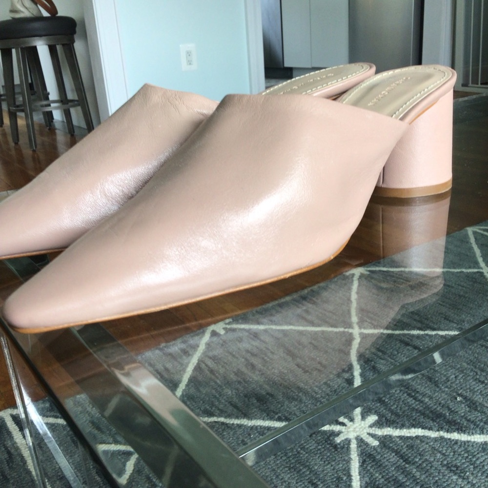 Zara mules